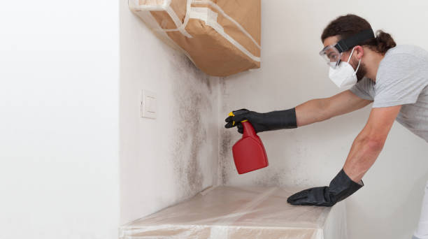 Professional Commercial Mold Remediation technician working in Floral Park, NY