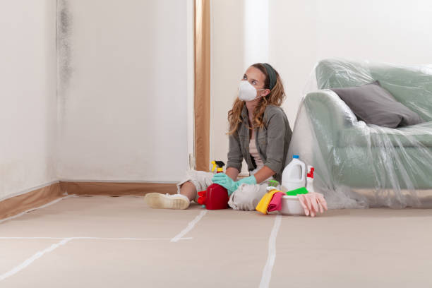Reliable Commercial Mold Remediation contractor in Floral Park, NY by WQB Mold Removal